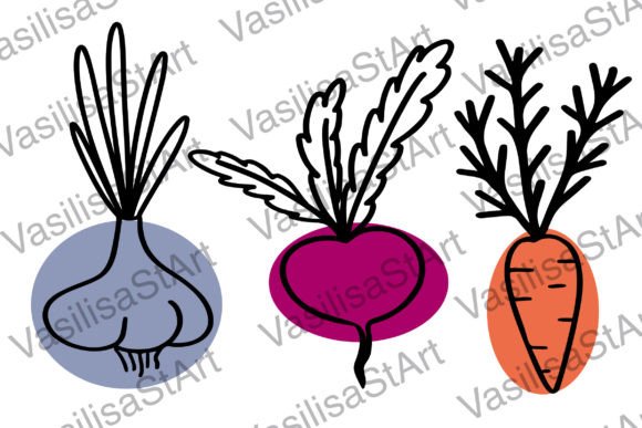 Beet, Carrot, Garlic Graphics: A Versatile Illustration Set