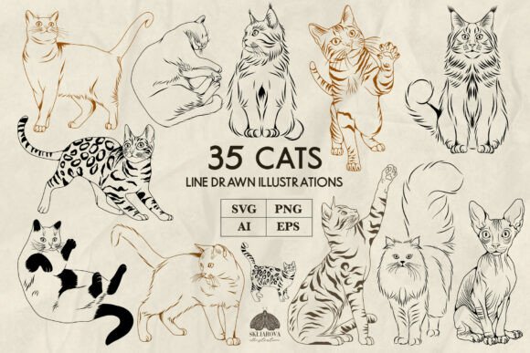 Cats Line Art Graphics: Editorial Illustrations Review