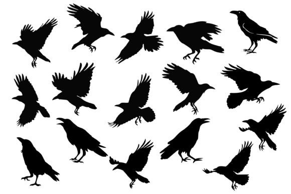 Crow SVG Bundle: A Versatile Graphics and Illustrations Asset