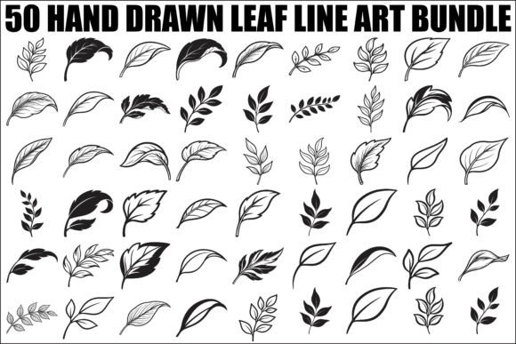 Hand Drawn Leaf Line Art Bundle: Graphics & Illustrations