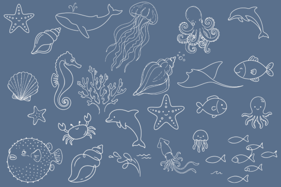 Ocean Sea Life Clipart: Graphics & Illustrations Review