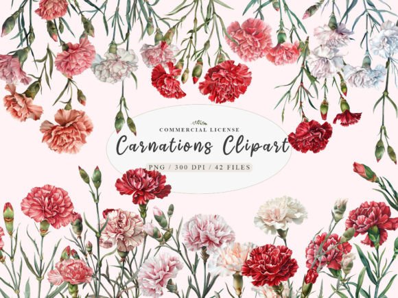 Red Flower Graphics: Watercolor Carnation Illustrations