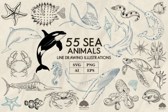 Sea Animals Line Art Collection: Graphics & Illustrations