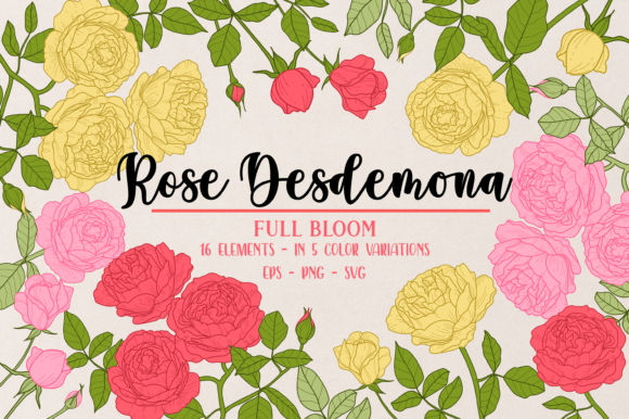 Vector Vintage Desdemona Rose Graphics & Illustrations