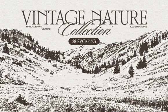 Vintage Nature Landscape Graphics & Illustrations Review